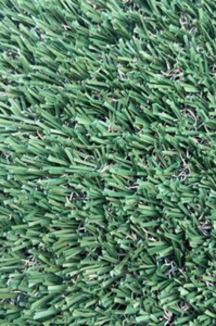 rs=w_365,h_365,cg_true