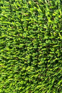 rs=w_365,h_365,cg_true (5) (1)