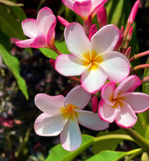 1df6f199-73bf-44af-bde9-3253bd2a2c71