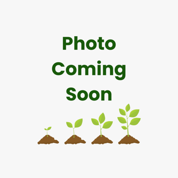 Awaiting product image
