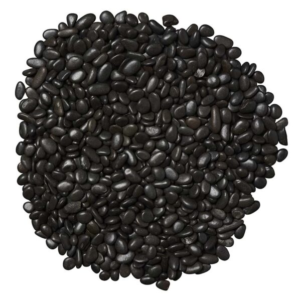 Coffee Bean Polished