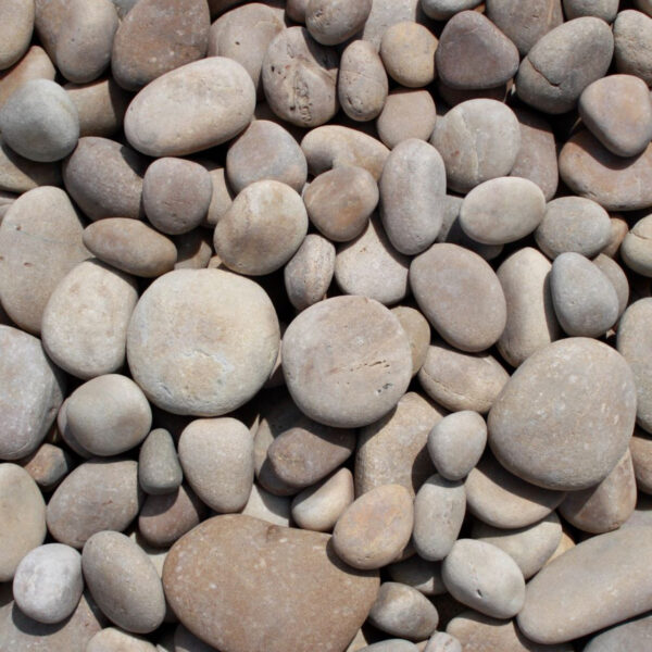 Mexican Beach Pebble - Image 6